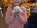 dsc00990
