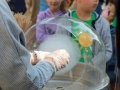 piknik_parafialny_2022_16