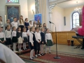 IMG_2336_mini