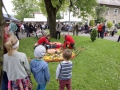 IMG_2489_mini