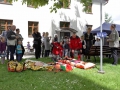 IMG_2501_mini
