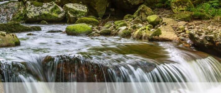 Zaproszenie na spotkanie styczniowe Nowina na Plus